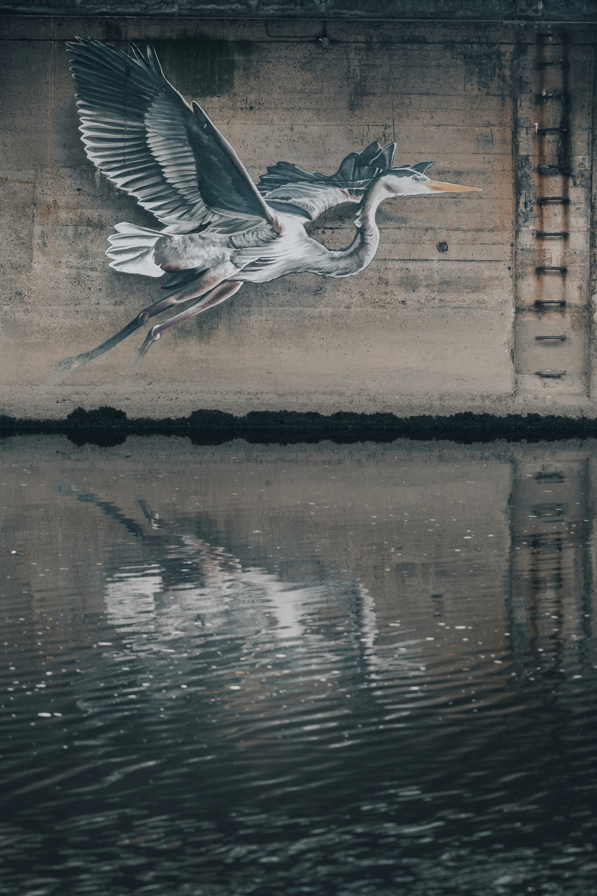 jonny-gios-GfFEZX4YDQU-unsplash.jpg