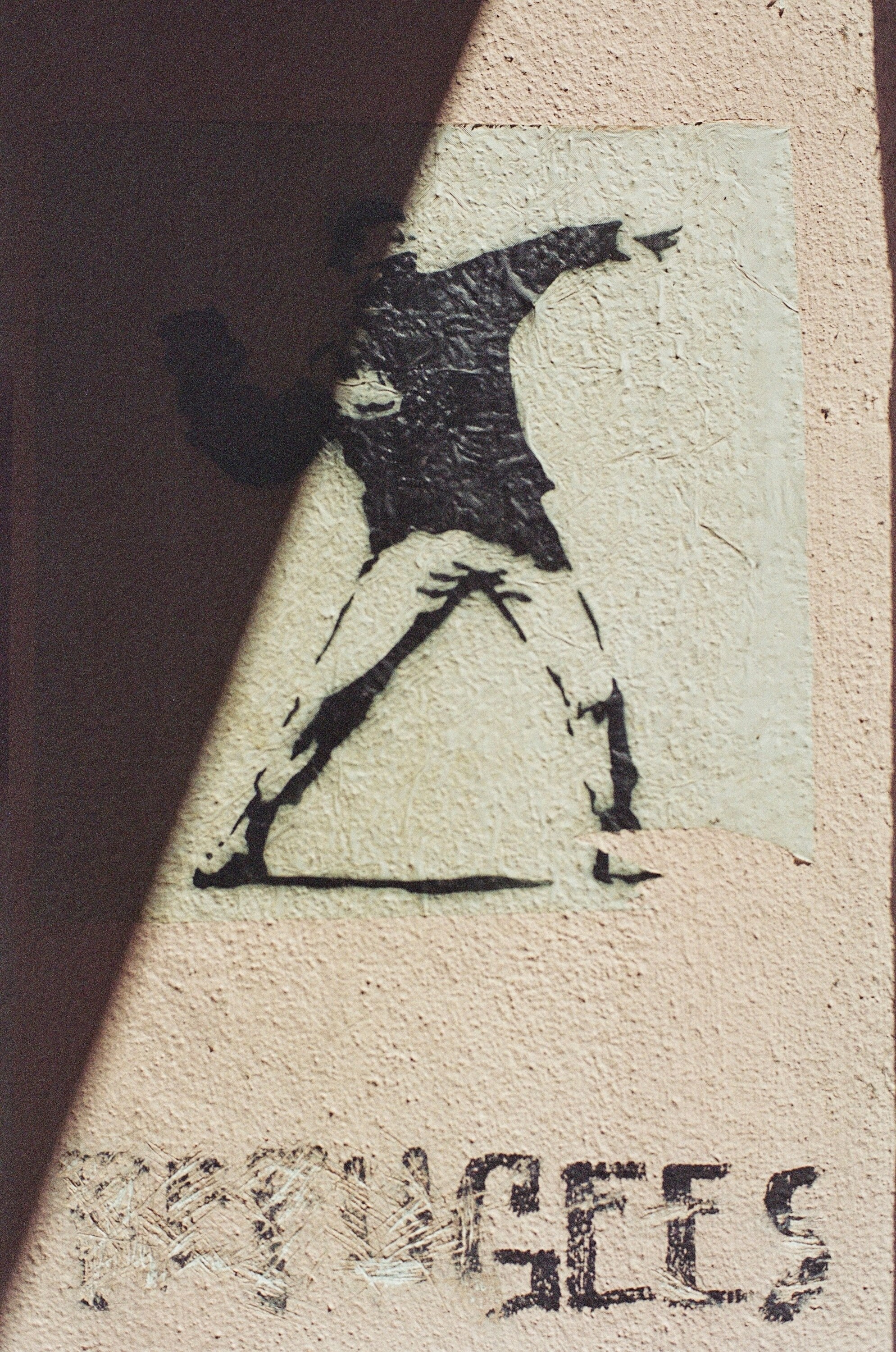 markus-spiske-dQRdoTZpkso-unsplash.jpg